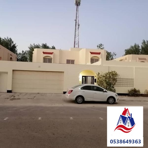 اصباغ خارجية