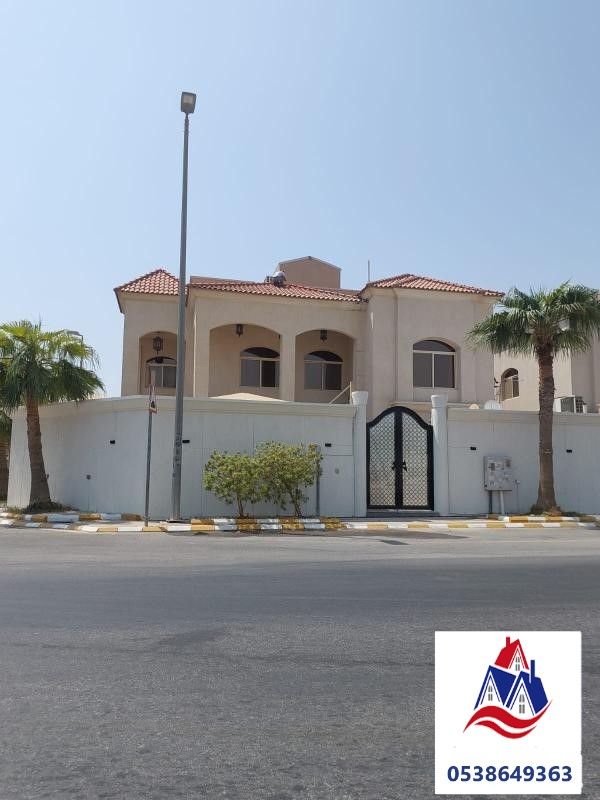 اصباغ خارجية