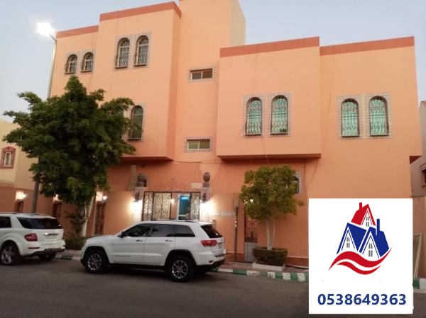اصباغ خارجية
